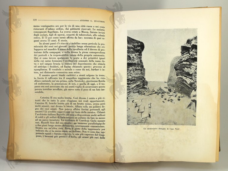 COL NORGE DA ROMA ALL'ALASKA | Immagine Gallery 3