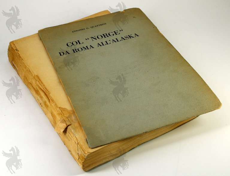 COL NORGE DA ROMA ALL'ALASKA | Immagine Gallery 4