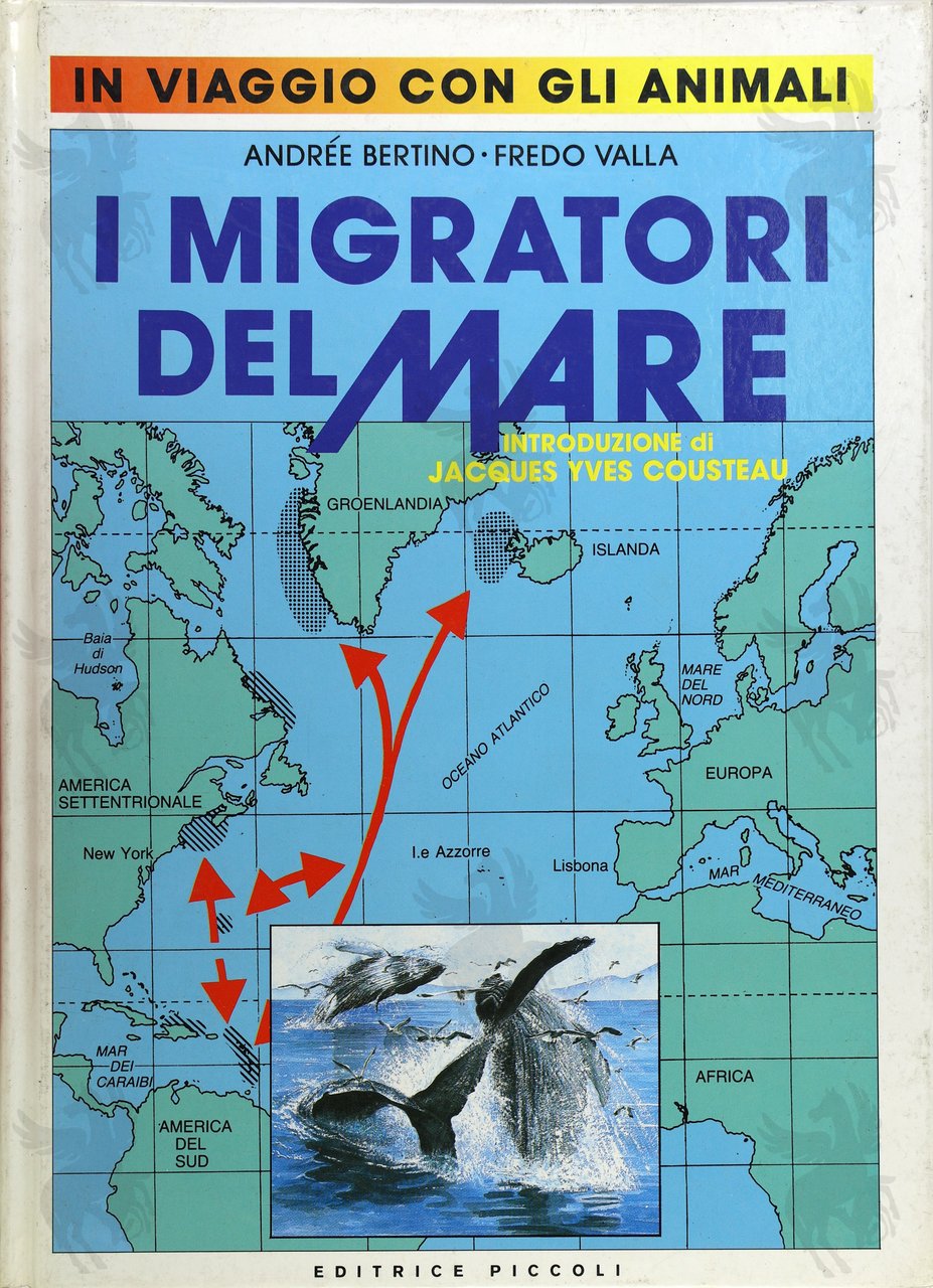 I MIGRATORI DEL MARE | Immagine principale