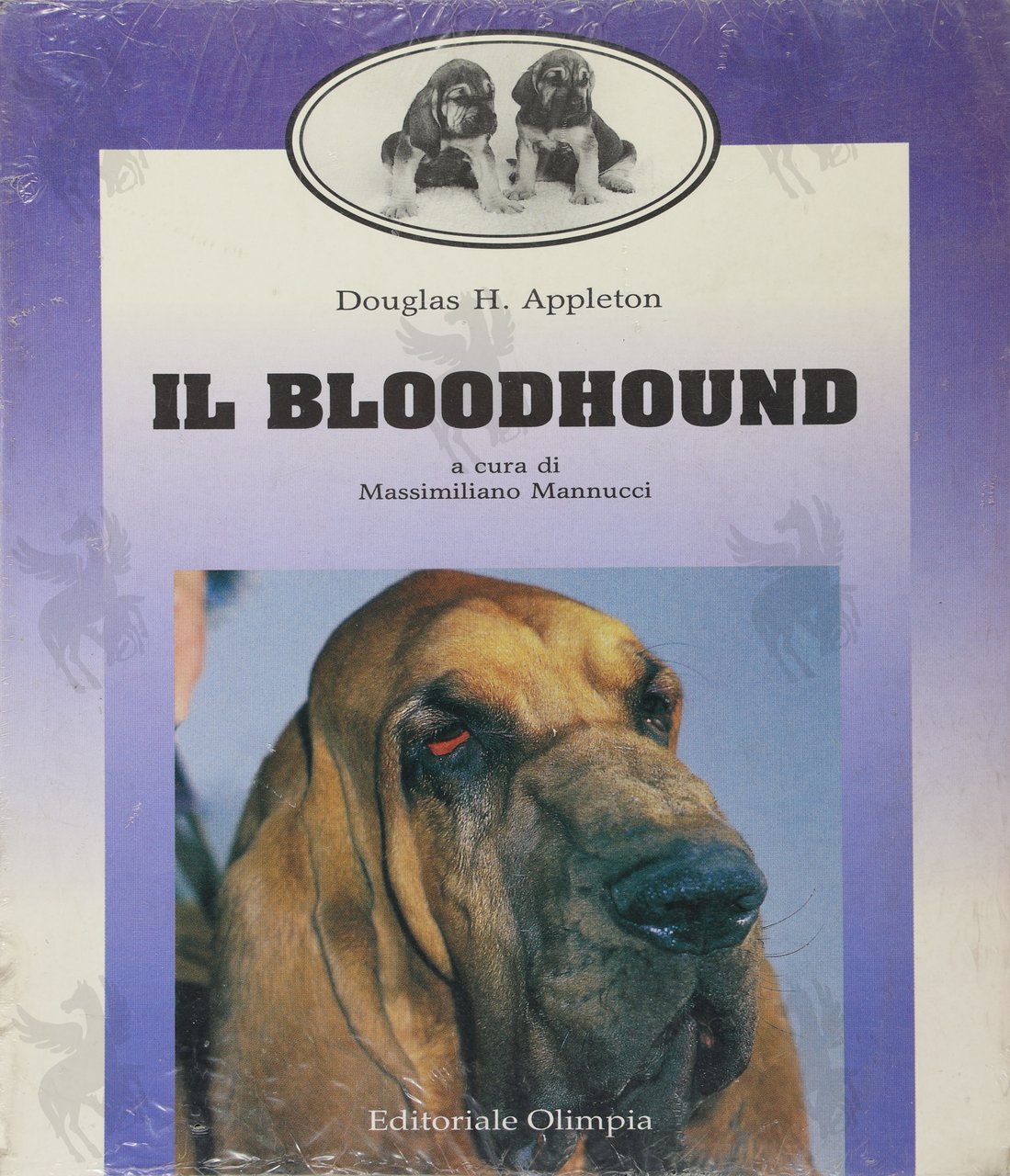 IL BLOODHOUND | Immagine principale