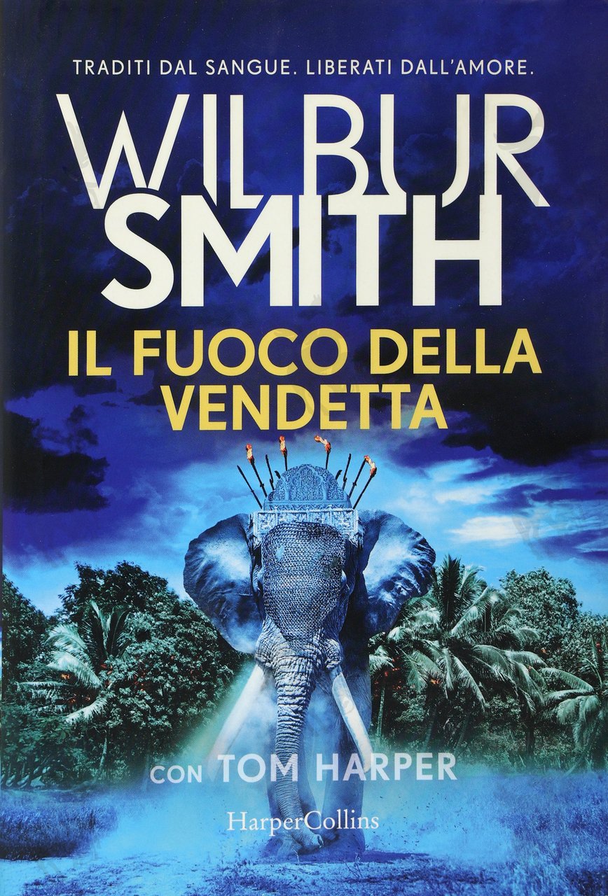 IL FUOCO DELLA VENDETTA | Immagine principale