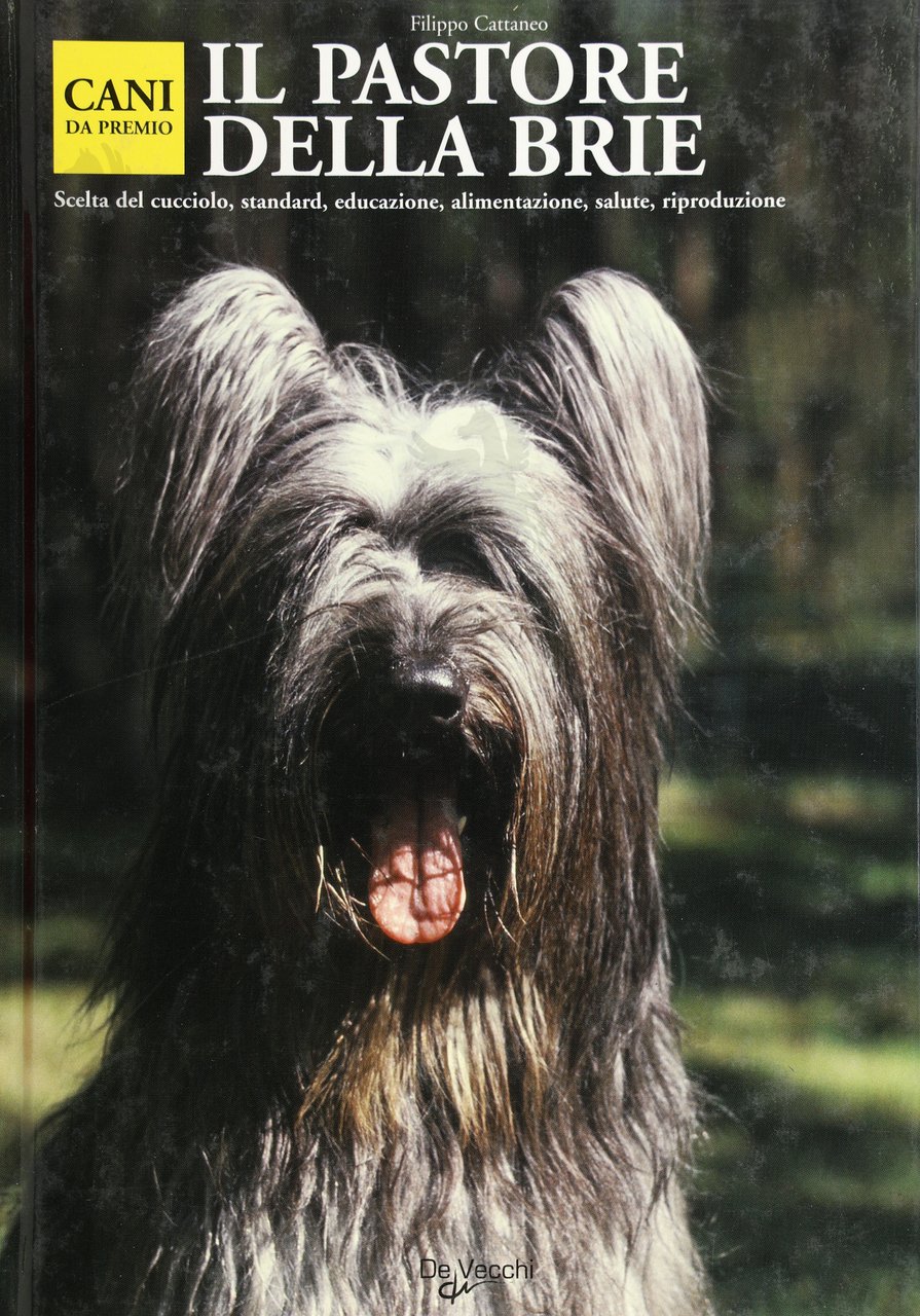 IL PASTORE DELLA BRIE | Immagine principale