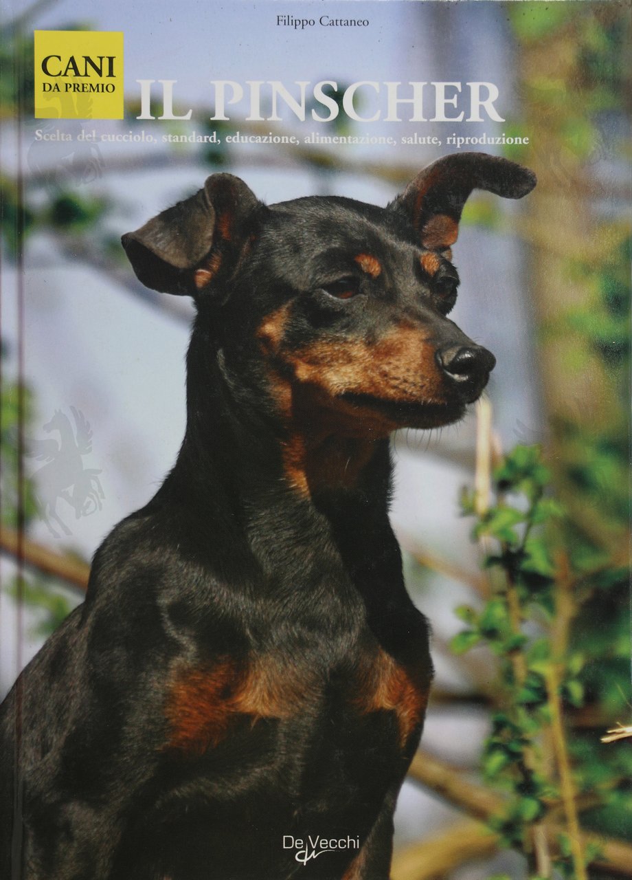 IL PINSCHER | Immagine principale