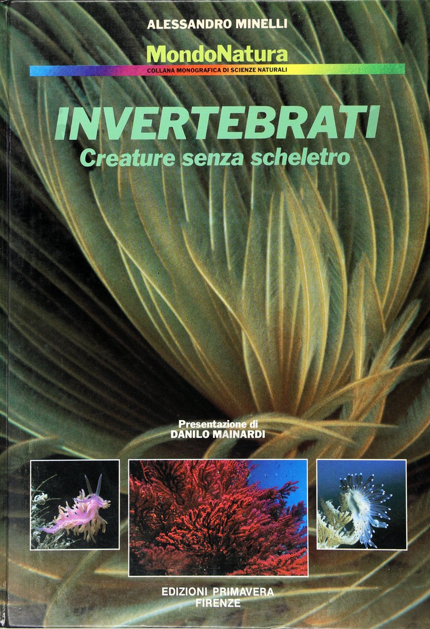 INVERTEBRATI - CREATURE SENZA SCHELETRO | Immagine principale