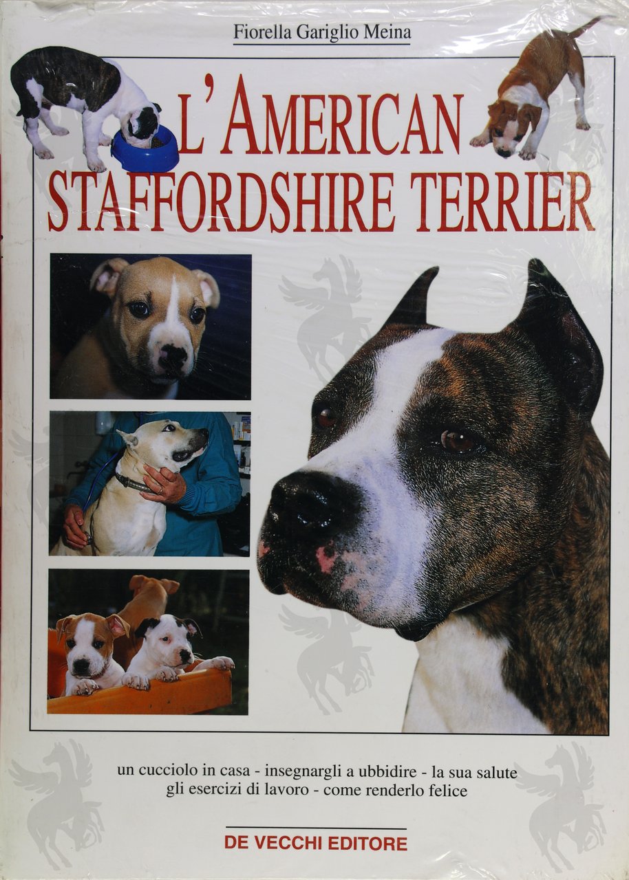 L'AMERICAN STAFFORDSHIRE TERRIER | Immagine principale