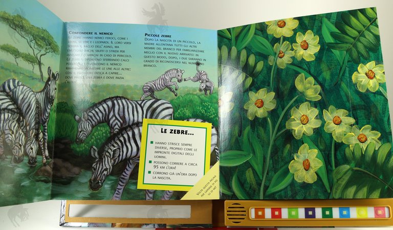 LE VOCI DELLA SAVANA | Immagine Gallery 3