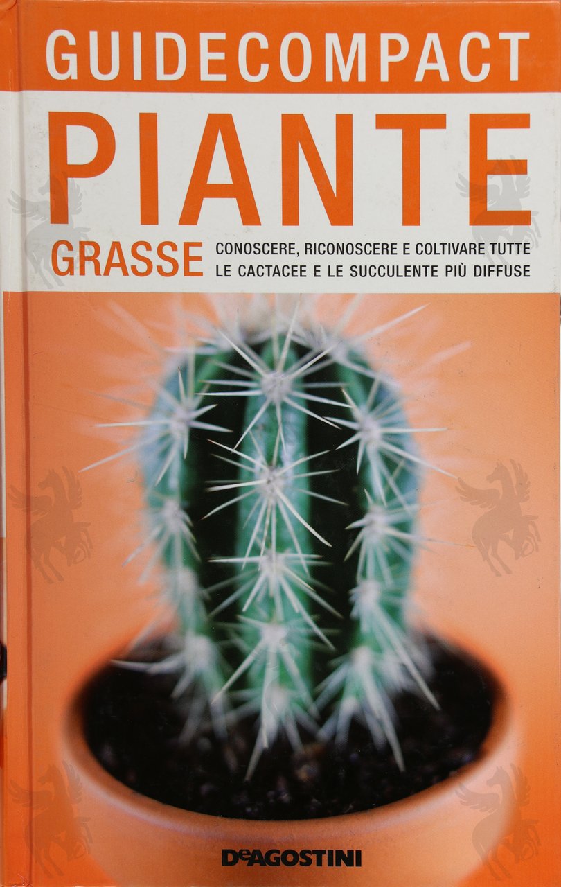 PIANTE GRASSE | Immagine principale