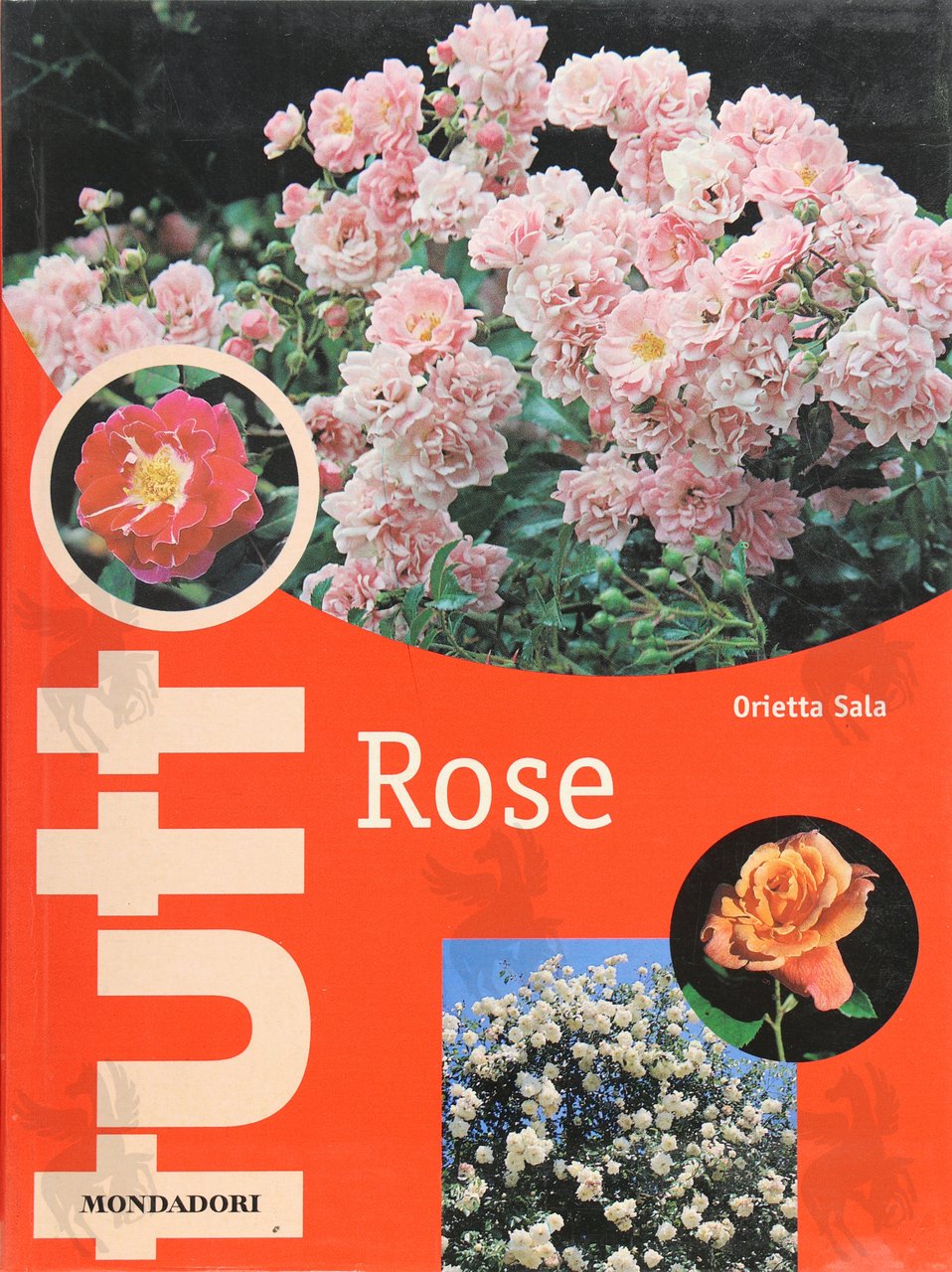 TUTTO ROSE | Immagine principale