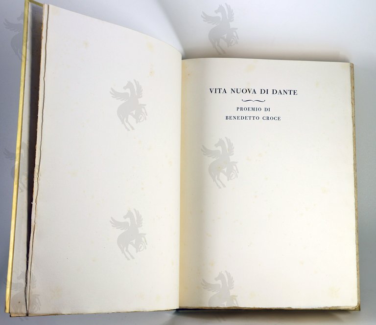 VITA NUOVA | Immagine Gallery 5