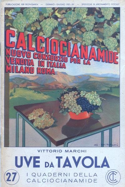 Calciocianamide. Uve da tavola. Gennaio - giugno 1937.