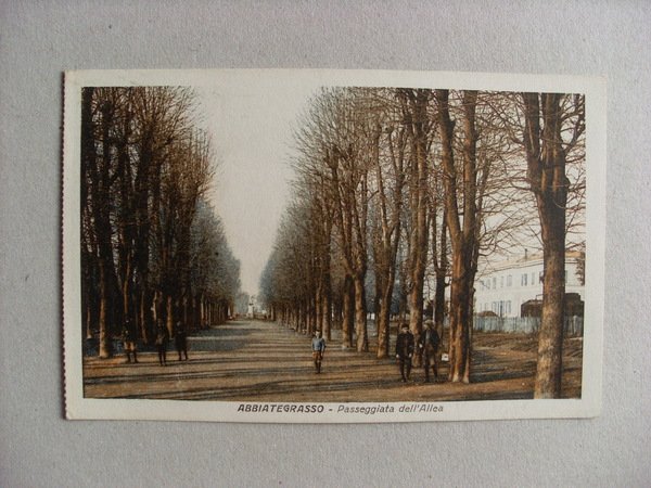 Cartolina ABBIATEGRASSO (Milano) Passeggiata nell'Allea