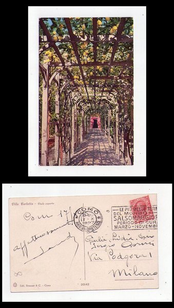 Cartolina / postcard Villa Carlotta (Tremezzo - Como) Viale coperto. …