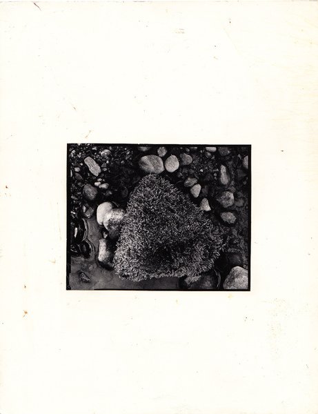 Renato Maestri. Fotografia arte povera con autentica dell'autore. 1976