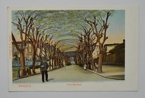 Cartolina / postcard SPEZIA - Viale Garibaldi.