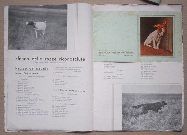Comitato Manifestazioni Torinesi - II° Esposizione Internazionale Canina TORINO. 1934