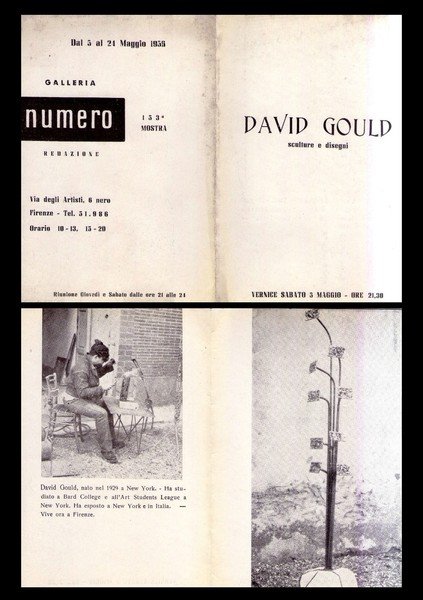 Brochure mostra 153° DAVID GOULD sculture e disegni. Galleria NUMERO …