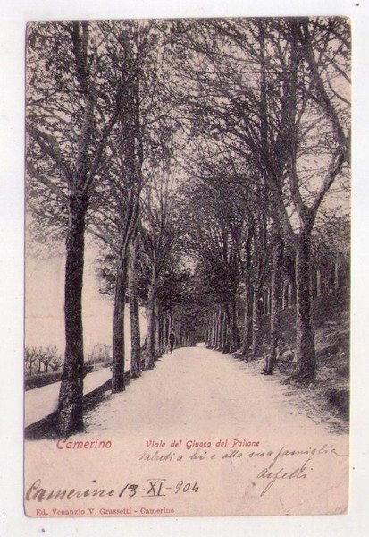 Cartolina/postcard Camerino (Macerata) - Viale del Giuoco del Pallone. 1904