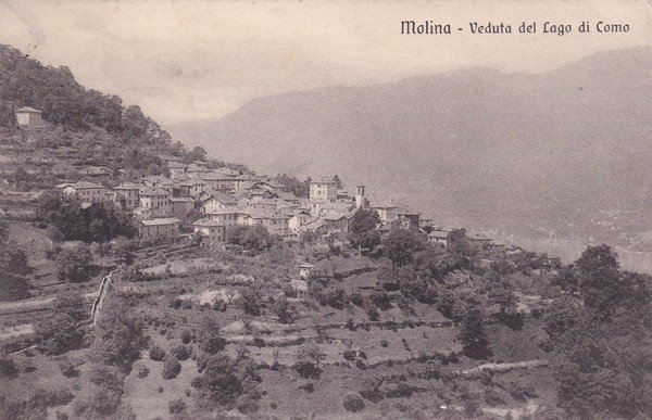 Cartolina Molina (Como) - Veduta del Lago di Como. 1914