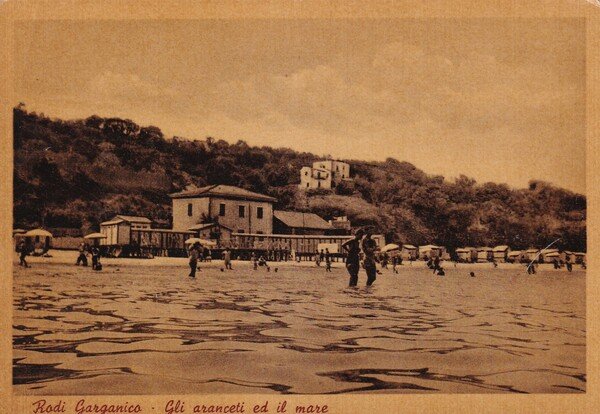 Cartolina Rodi Garganico (Foggia) - Gli aranceti ed il mare.