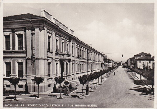 Cartolina Novi Ligure (Alessandria) - Edificio scolastico e Viale Regina …