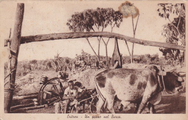 Cartolina Eritrea - Un pozzo nel Barca. 1936