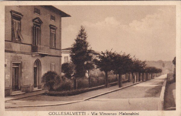 Cartolina Collesalvetti (livorno) - Via Vincenzo Malenchini. Anni'50