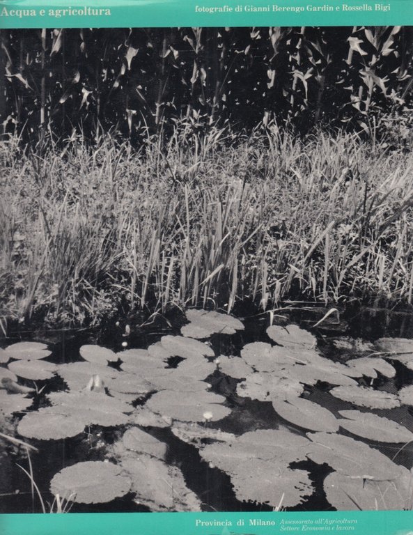 Acqua e agricoltura