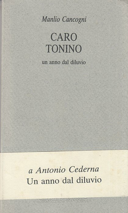 Caro Tonino. Un anno dal diluvio