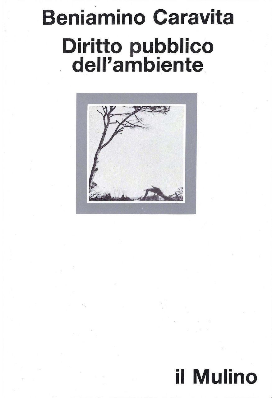 Diritto pubblico dell'ambiente