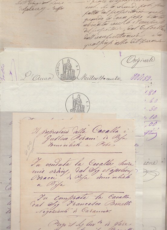 Documentazione Storico Giuridica Avente Ad Oggetto La Citazione In Giudizio …