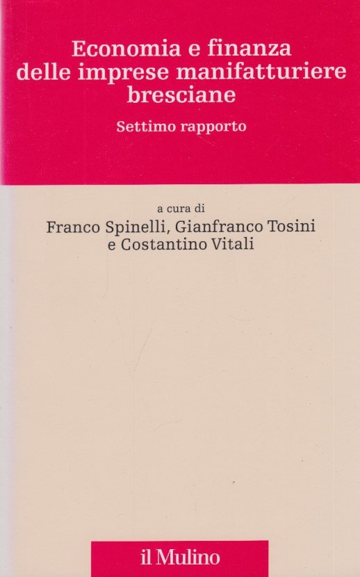 Economia e finanza delle imprese manifatturiere bresciane. Settimo rapporto