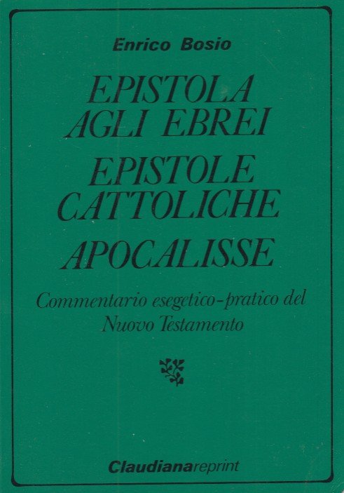 Epistola agli ebrei, Epistole cattoliche, Apocalisse