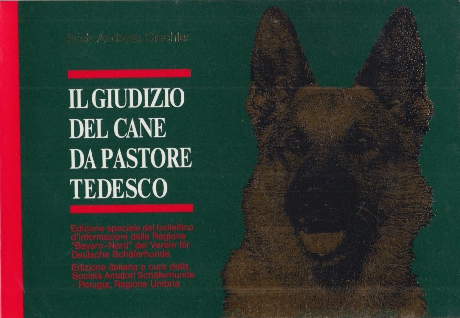 Il giudizio del cane da pastore tedesco