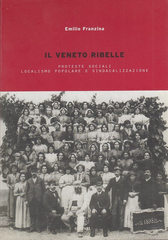 Il Veneto ribelle. Proteste sociali, localismo popolare e sindacalizzazione