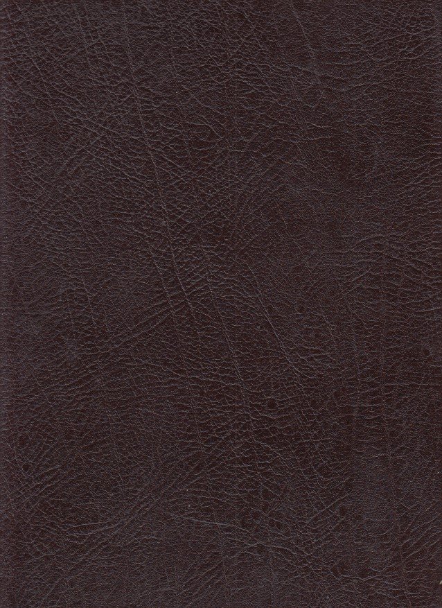 Plutarchus Vitae Parallelae