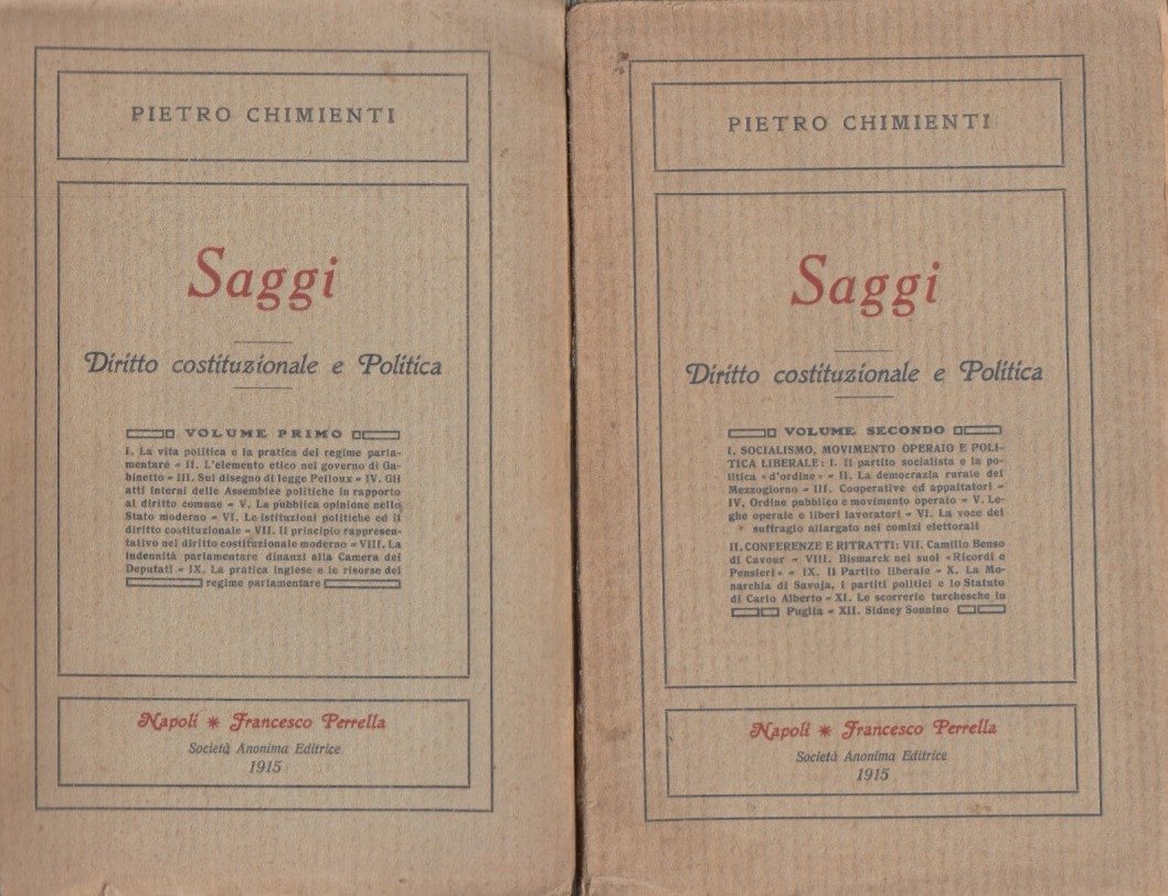 Saggi. Diritto costituzionale e Politica