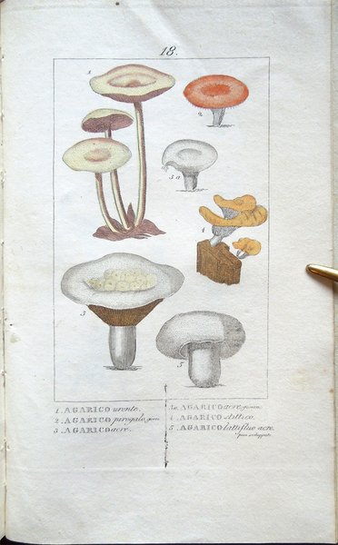 Lezioni di Medicina legale del Professore Orfila. Traduzione del Dot. …