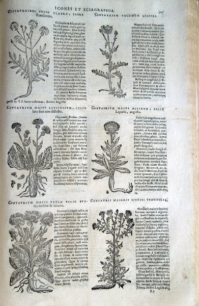 Stirpium icones et sciagraphia cum omnibus, quae de plantarum natura, …