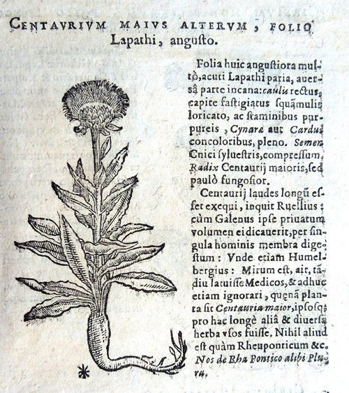 Stirpium icones et sciagraphia cum omnibus, quae de plantarum natura, …