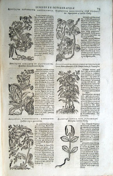 Stirpium icones et sciagraphia cum omnibus, quae de plantarum natura, …