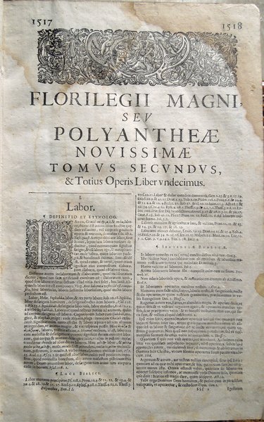 Florilegii magni, seu Polyantheae floribus novissimis sparsae, Libri XXIII. Opus …