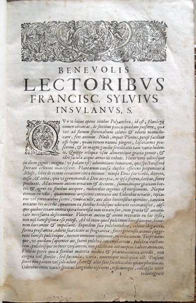 Florilegii magni, seu Polyantheae floribus novissimis sparsae, Libri XXIII. Opus …