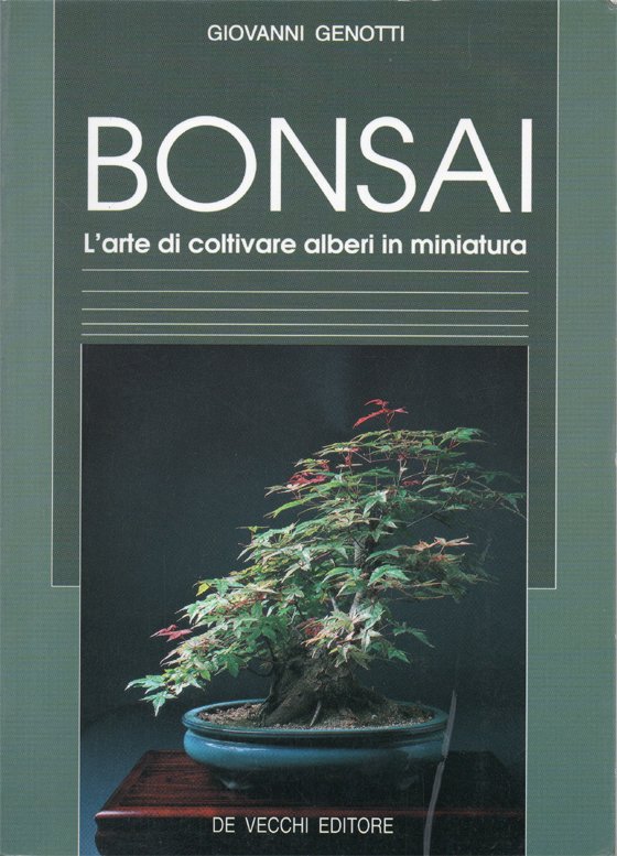 Bonsai. L'arte di coltivare alberi in miniatura