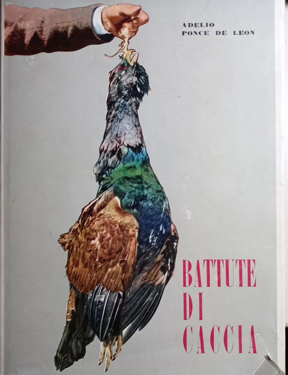 Battute di caccia | Immagine principale