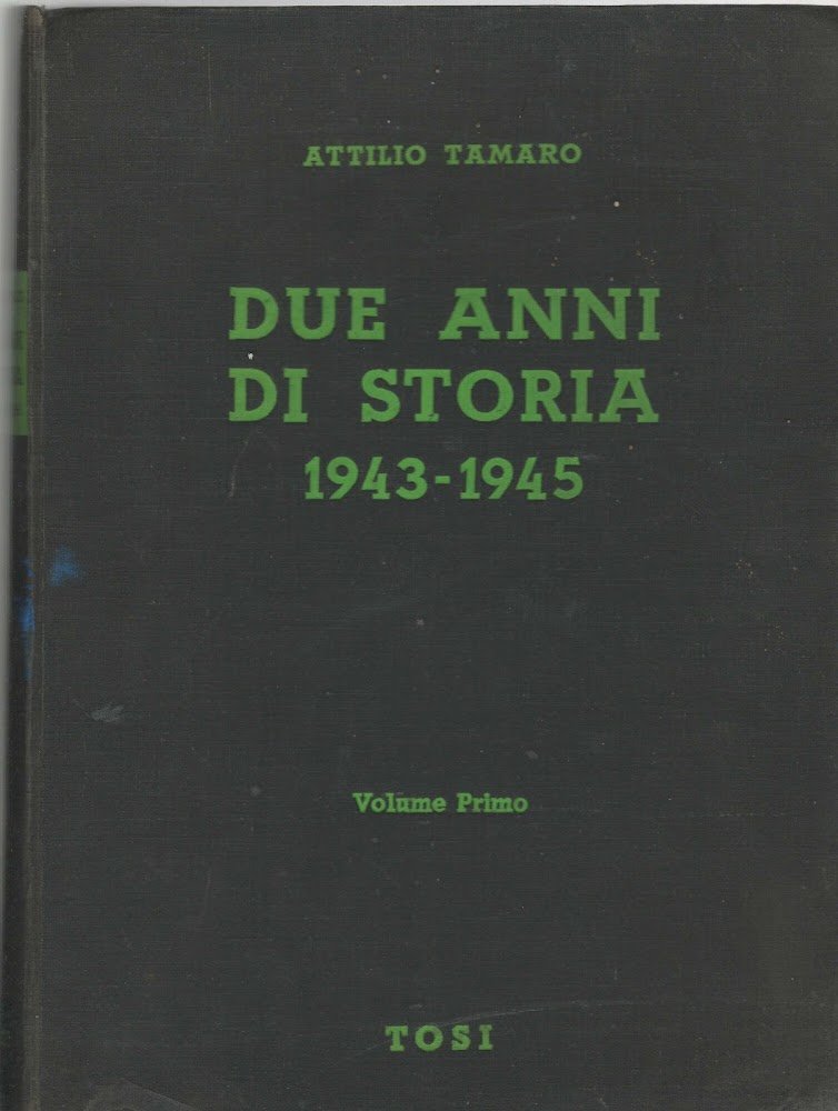 DUE ANNI DI STORIA VOL 1