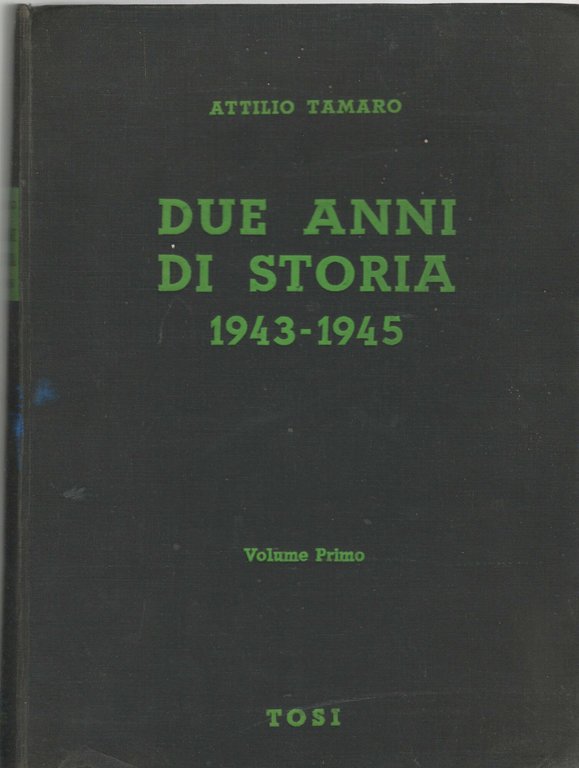 DUE ANNI DI STORIA VOL 1