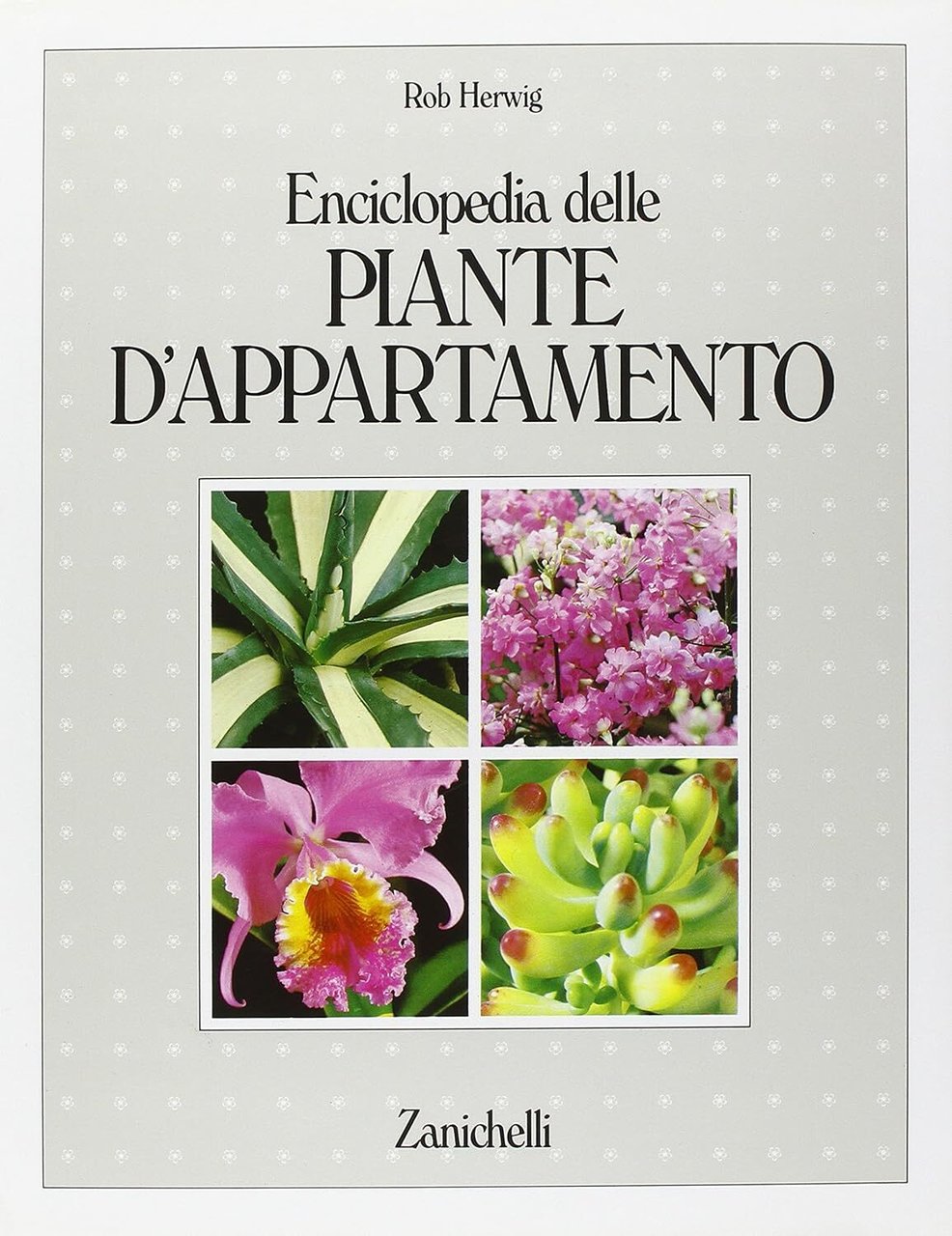 Enciclopedia delle piante d'appartamento