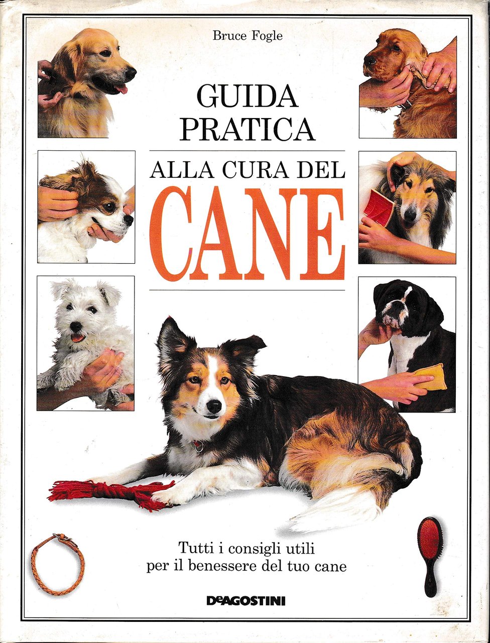 Guida pratica alla cura del cane