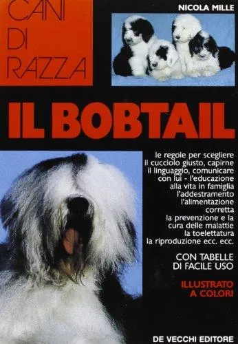 Il Bobtail | Immagine principale
