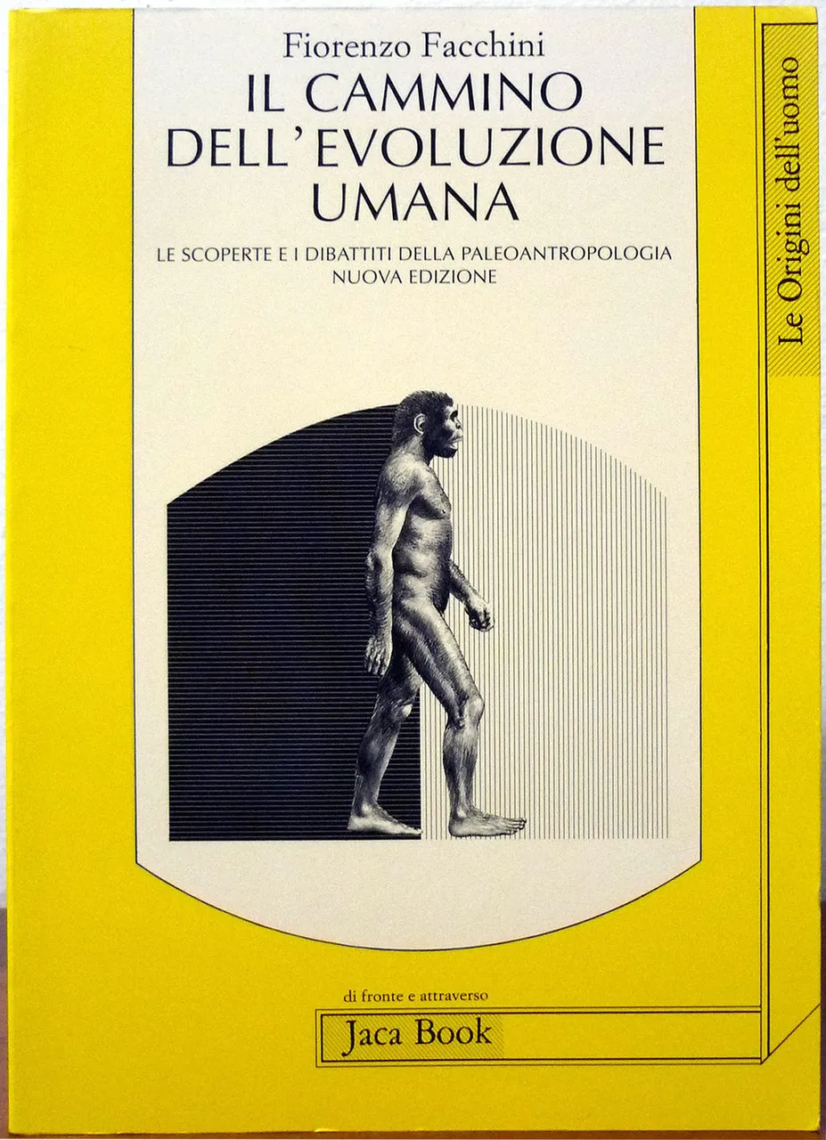 Il cammino dell'evoluzione umana | Immagine principale